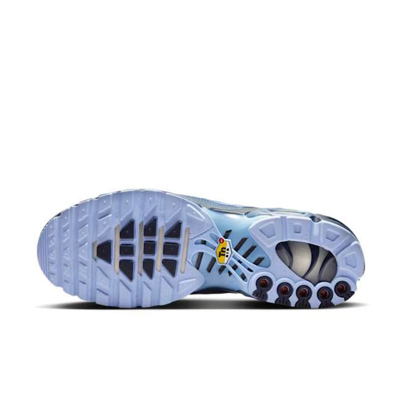 Nike Air Max Plus Obsidian & Aluminium