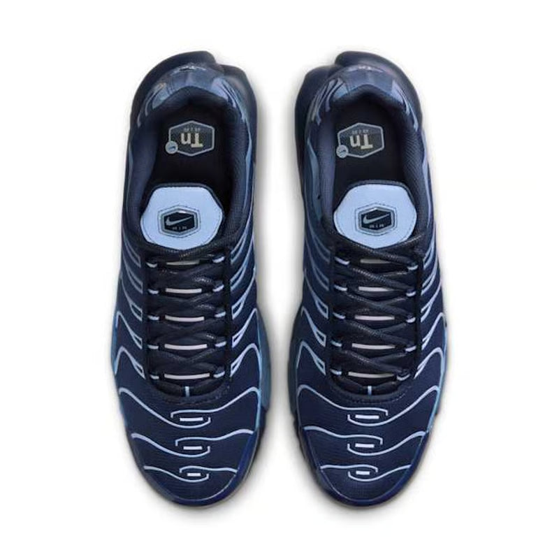 Nike Air Max Plus Obsidian & Aluminium