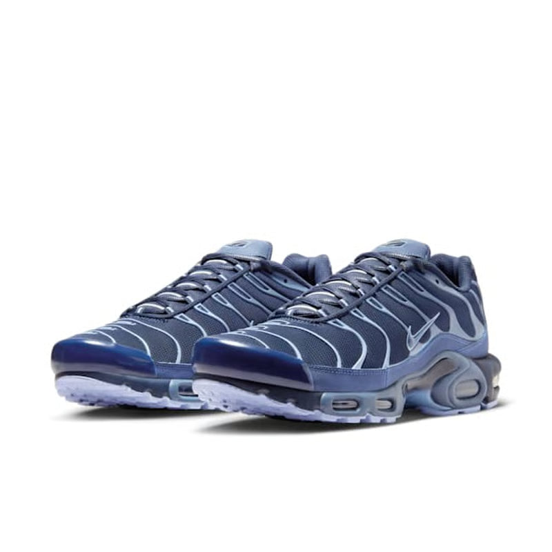 Nike Air Max Plus Obsidian & Aluminium