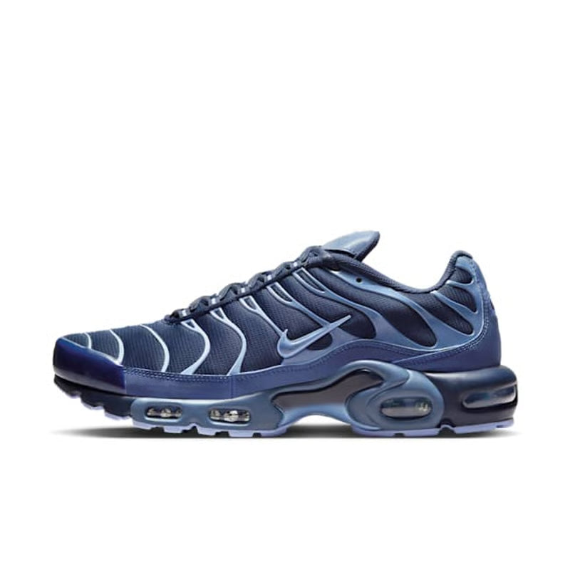 Nike Air Max Plus Obsidian & Aluminium