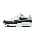 Nike Panda Air Max 1